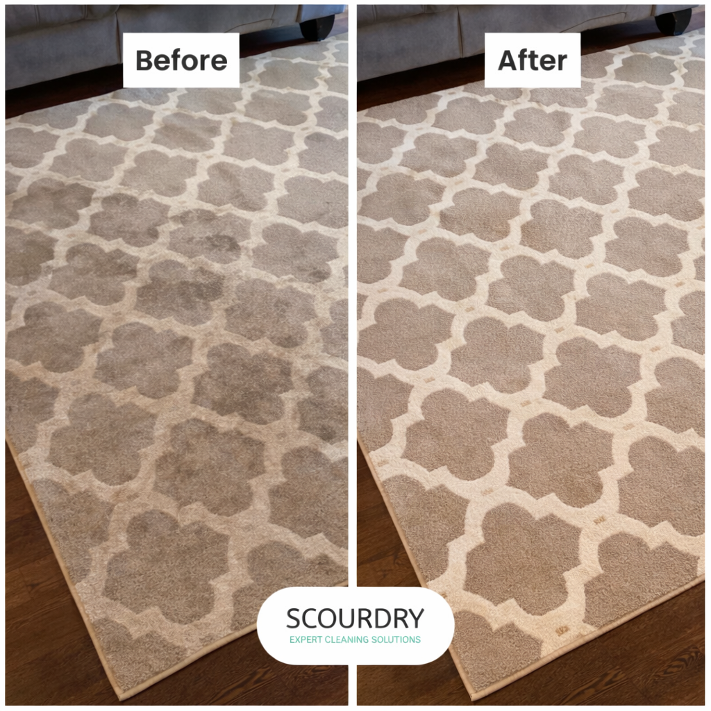 ChatGPT Image Feb 26, 2026, 10_24_37 AM