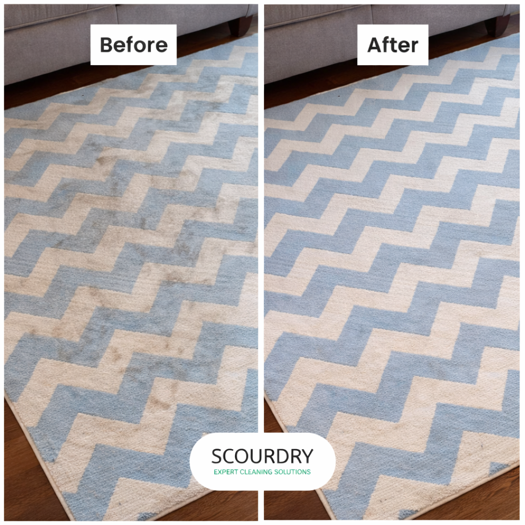 ChatGPT Image Feb 26, 2026, 10_25_25 AM