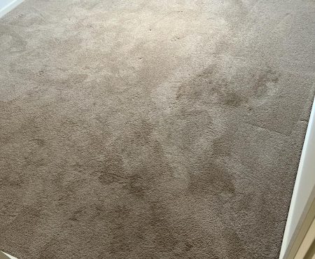 carpet-9-before